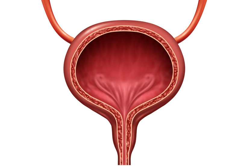Artificial-Urinary-Sphincter